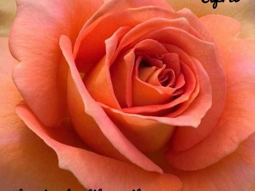 Rubrica Mensile Tag: Beauty Color Of The Month – April (by Pink Box, TheMissbeautychannel e Makeup For Princess)